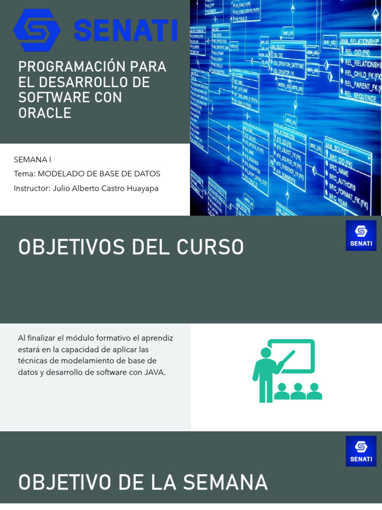 Programación para El Desarrollo de Software Con Oracle Semana I | PDF ...