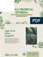 Selva Tropical Húmeda - 20240521 - 070226 - 0000