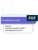 Anabolisme Lipid