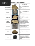 Sedimentary Rocks Made Easy