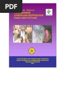 Download gangguan reproduksi by Tebin Bin SN73576437 doc pdf