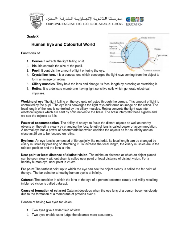 Human Eye Functions and Vision Defects | PDF | Eye | Sunset