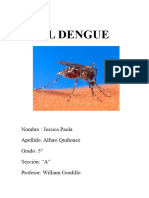 Informe Dengue Jess