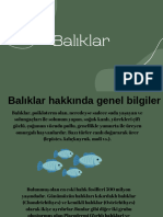 Balıklar