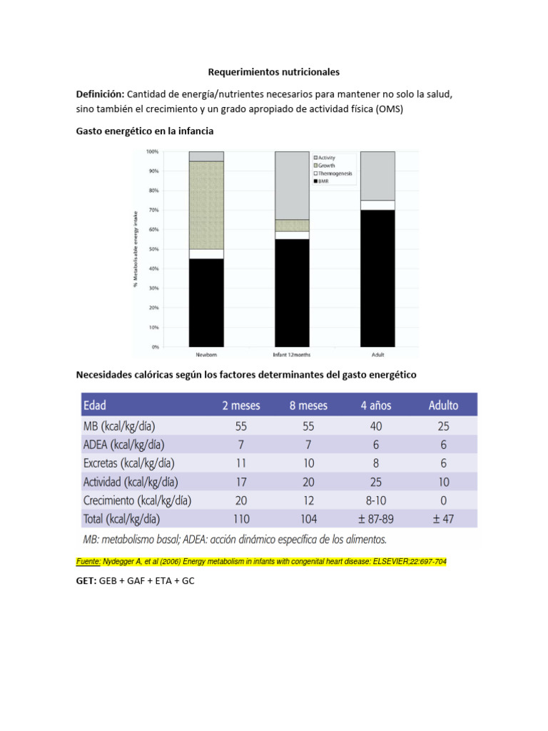 Requerimientos RZC | PDF