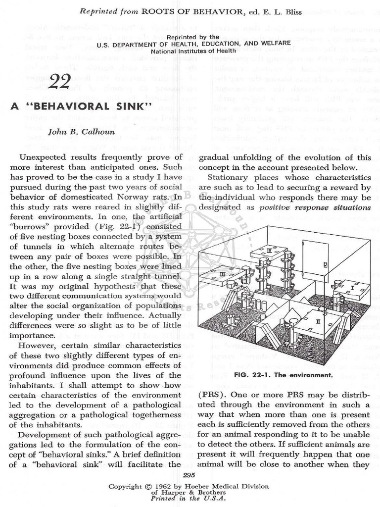 1962 A Behavoral Sink Secure | PDF | Rat | Reinforcement