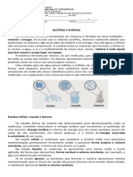 08-03 Ciências Adaptada Fernando e Gisele 9 anos - Matéria e enrgia