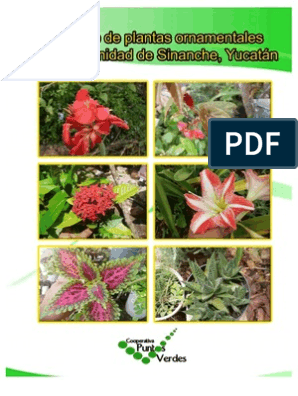 Varios Tipos De Plantas Ornamentales PNG ,dibujos Trasplantar, Planta, Al  Aire Libre PNG Imagen para Descarga Gratuita