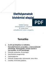 Bevezetés, Szervezet Felépítése, Bioenergetika