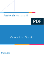 Anatomia Humana - Aula 04 (1)
