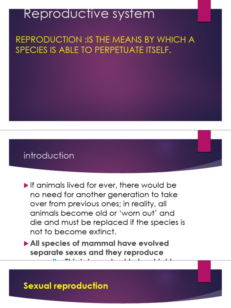 reproductive-system2-pdf-testicle-sex