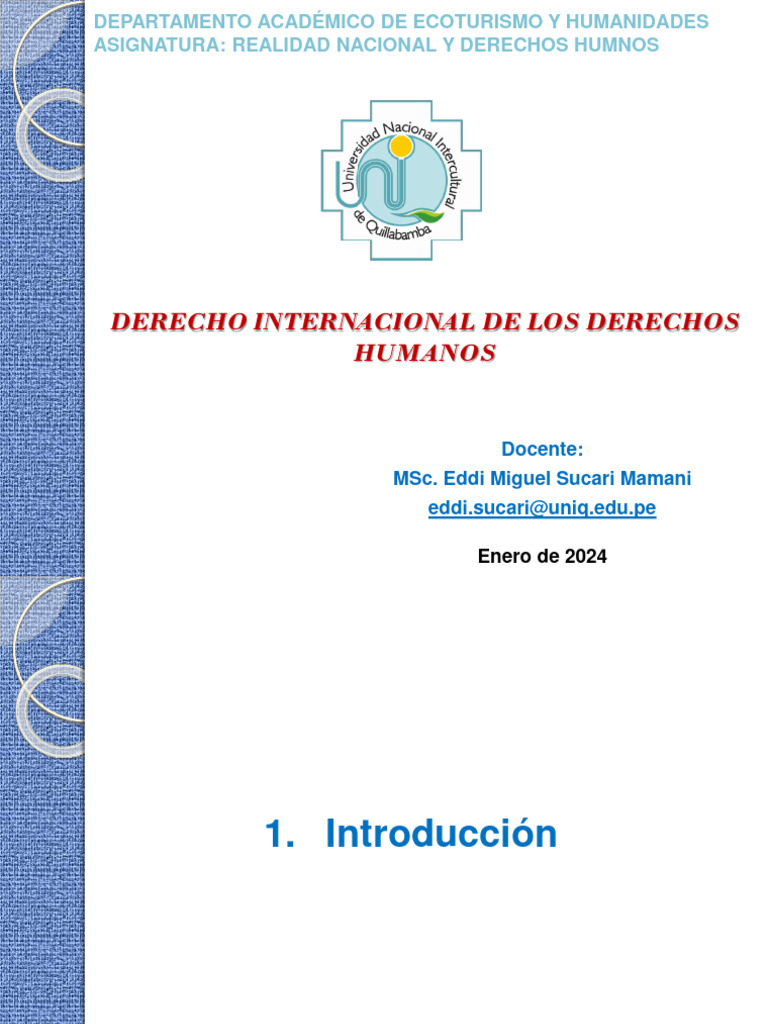 Derecho Internacional de los Derechos Humanos | PDF | Derechos humanos ...