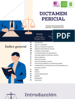 Exposicion Pruebas-Dictamen Pericial en Cipas