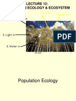 Population n Ecosystem-krt