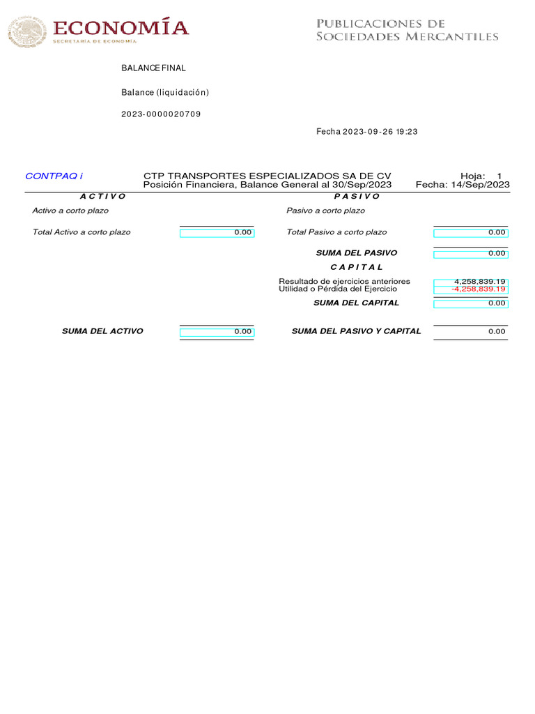Balance FINAL - Balance Liquidacion - EJEMPLO | PDF
