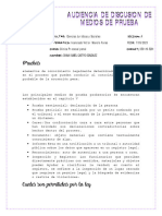 Audiencia de Discusion de Medios de Prueba