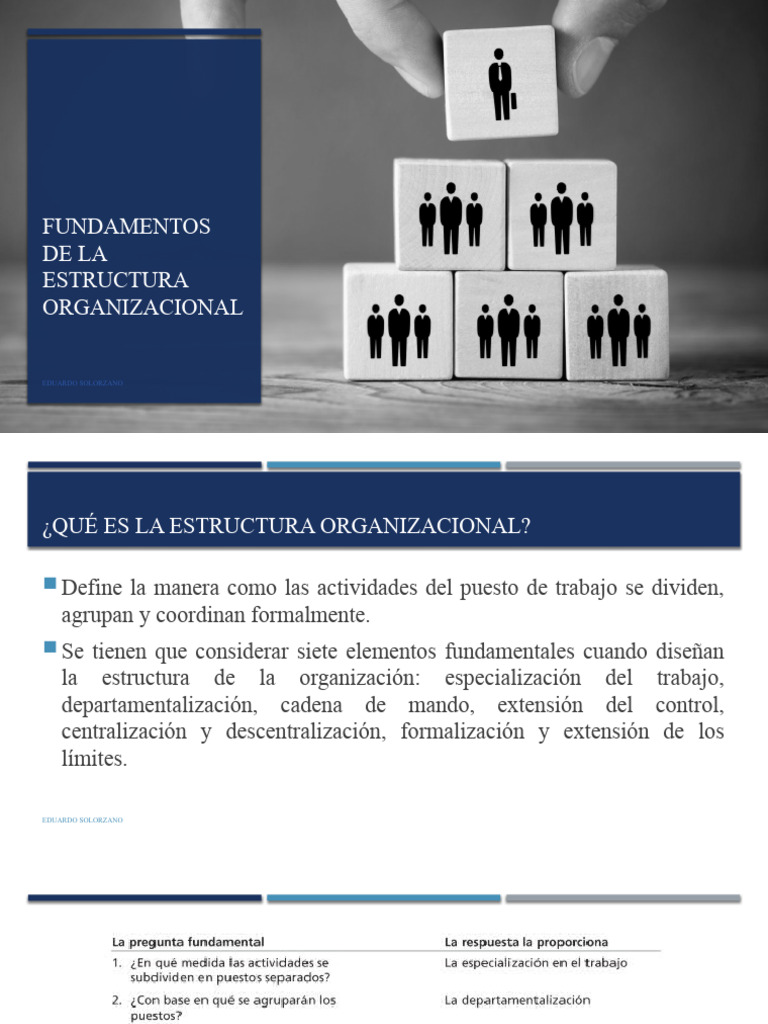 Fundamentos de La Estructura Organizacional | PDF | Marketing | Toma de ...