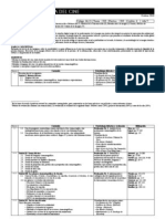 Teoria y Practica Del Cine