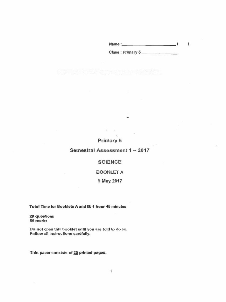 Primary 6 Science Semestral Assessment 2017 | PDF | Breathing | Chloroplast