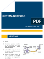 CLASE 4 Sistema Nervioso Central-1