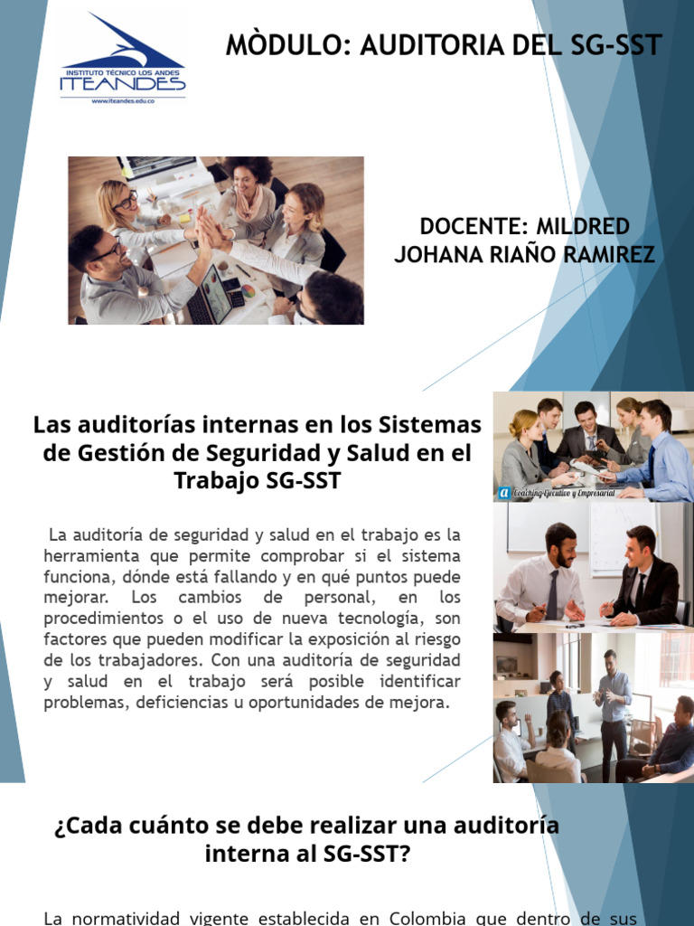 Los 7 Principios De Las Auditorias Pdf Auditoría