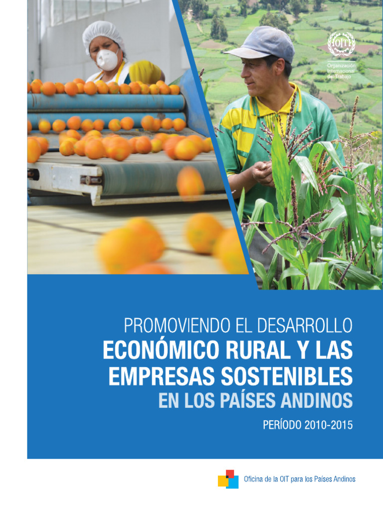 Wcms 569666 | PDF | Pequeñas y medianas empresas | Business