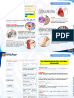 9050b61716038619TEMA7-ENFERMEDADESDELSISTEMACIRCULATORIOYEXCRETOR