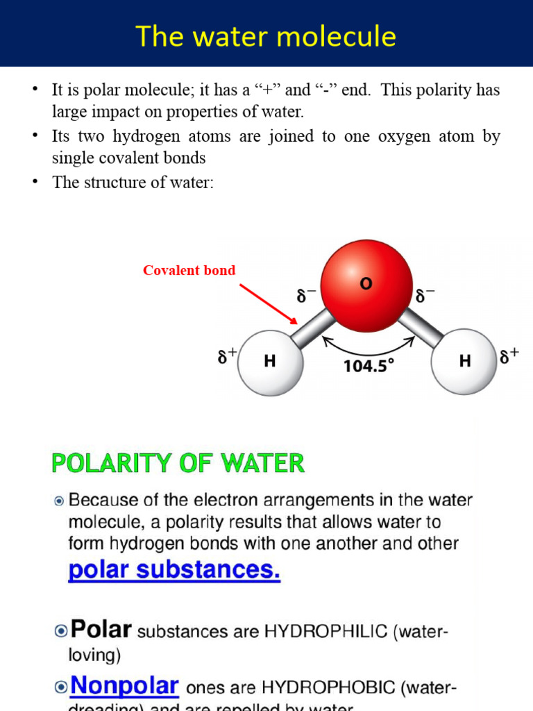 Lecture 2 Water Pdf