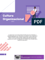 Teoría Organizacional 