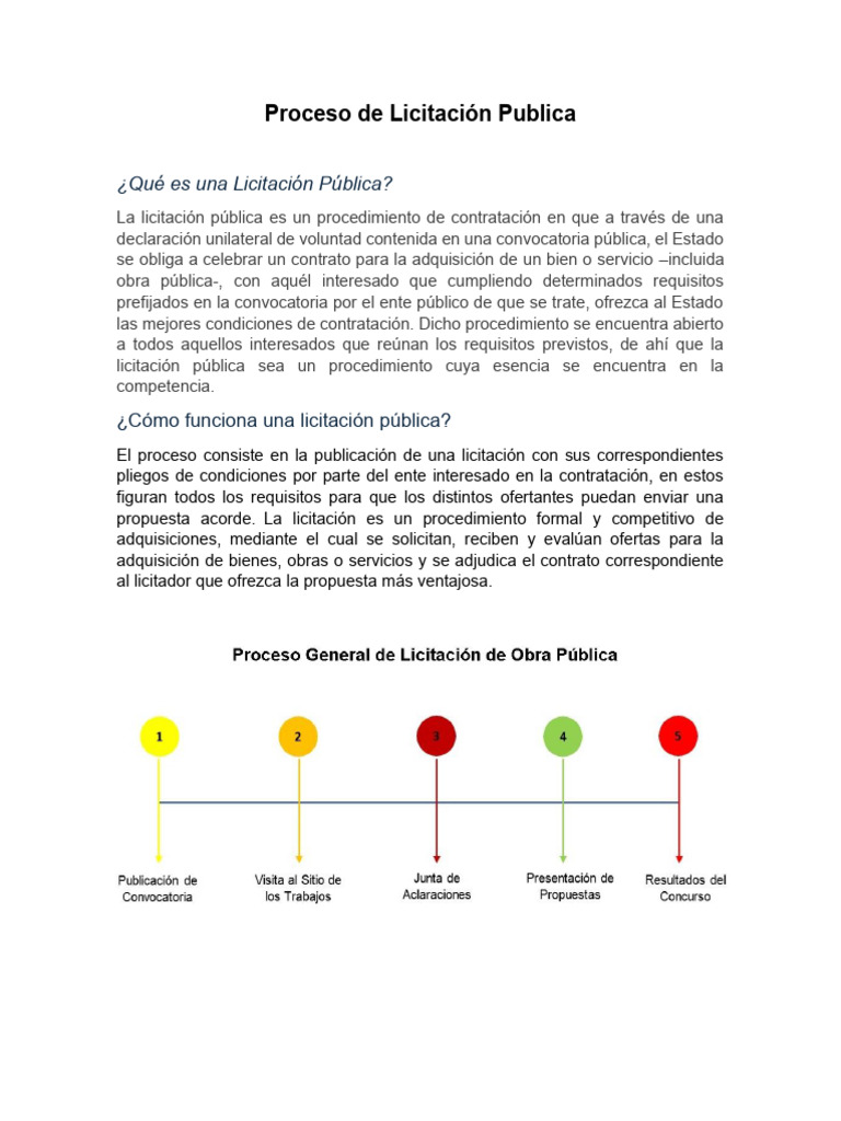 Proceso de Licitación Publica | PDF | Gobierno | Justicia