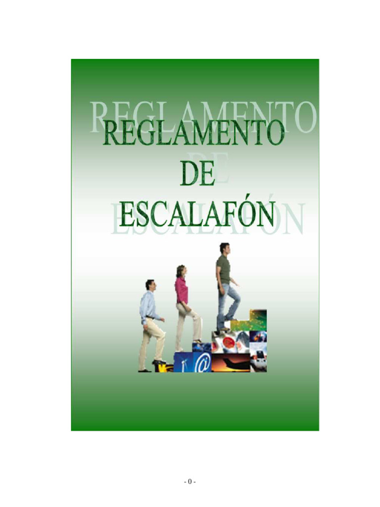Reglamento Escalafon | Descargar gratis PDF | Gestión de recursos