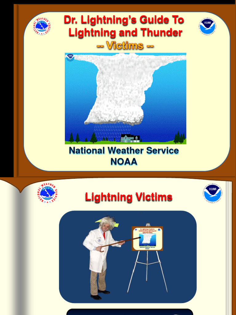 Lightning Safety and Victim Insights | PDF | Lightning