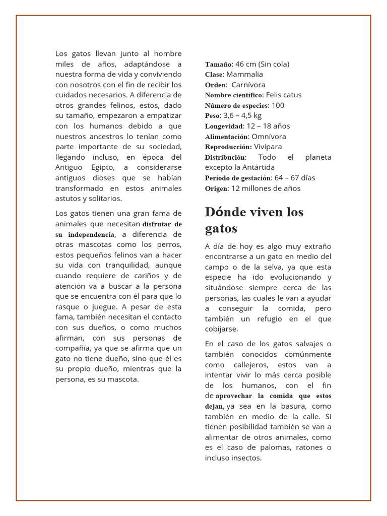 Características y vida de los gatos | PDF | Gatos | Dormir