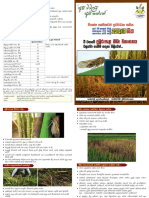 Paddy - 24. Measures To - Leaflet