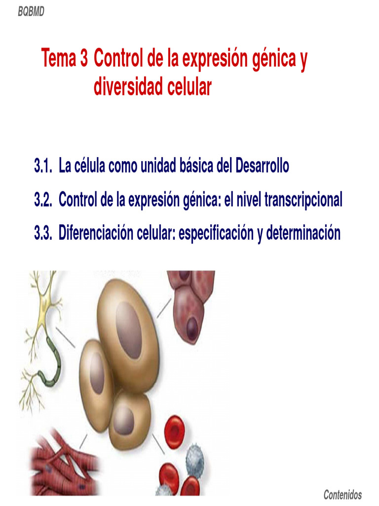 Control de la Expresión Génica Celular | PDF | Receptor (Bioquímica) | Gene