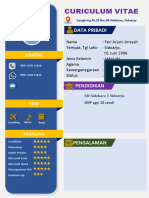 Daftar Riwayat Hidup Feri Arjuni Ansyah