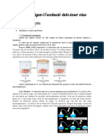 (Bio) TEMA 9 - L'origen I L'evolució Dels Ésser Vius