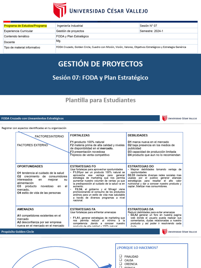 FODA y Estrategias en Gestión de Proyectos | PDF | Análisis FODA | Business