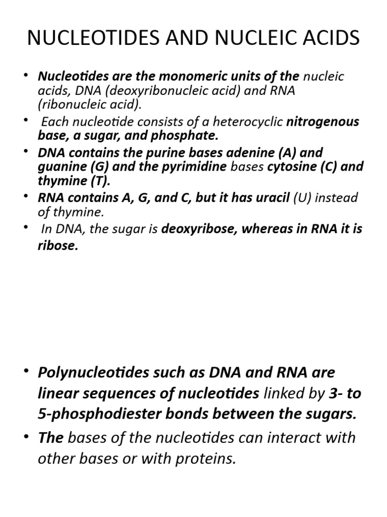 Nucleotides and Nucleic Acids | PDF | Nucleotides | Dna