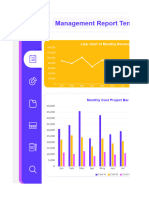 Visualization Management Report Template1