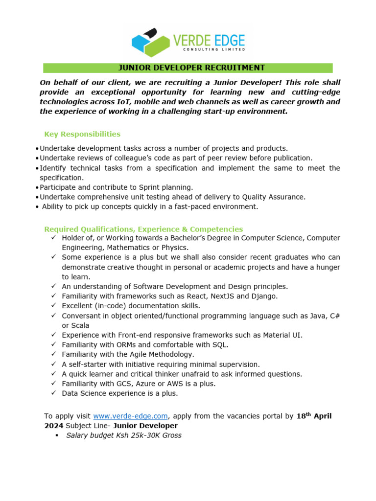 Junior Developer Job Opportunity | PDF