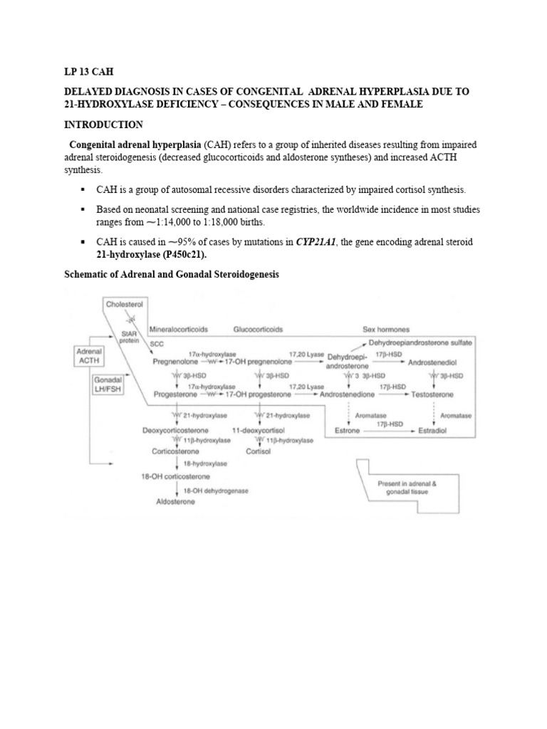Lp 13 Cah Download Free Pdf Adrenal Gland Endocrine System