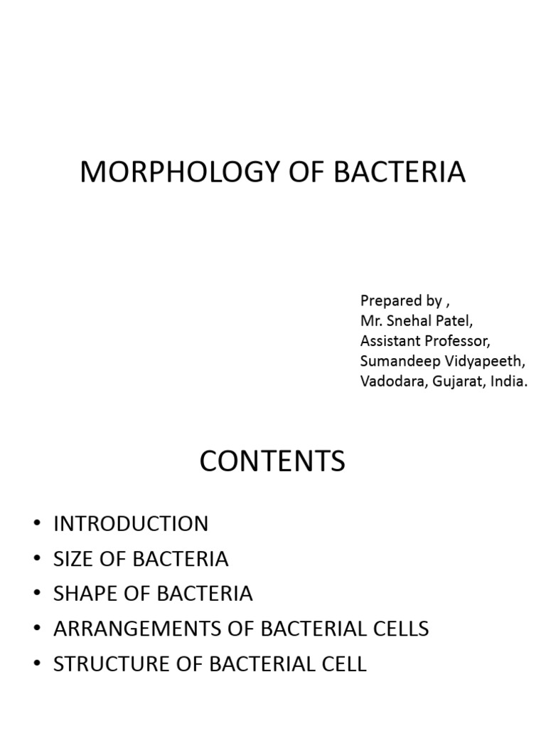 Morphologyofbacteria 171125164257 | PDF | Bacteria | Cell (Biology)