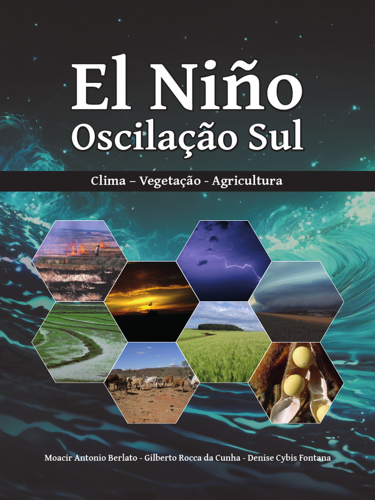 Increasing Contributions of Temperature-Dependent Oxygenated Organic  Aerosol to Summertime Particulate Matter in New York City | ACS ES\u0026T Air, image size:768x1024