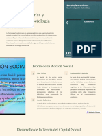 Principales Teorías y Enfoques en Sociología Económica