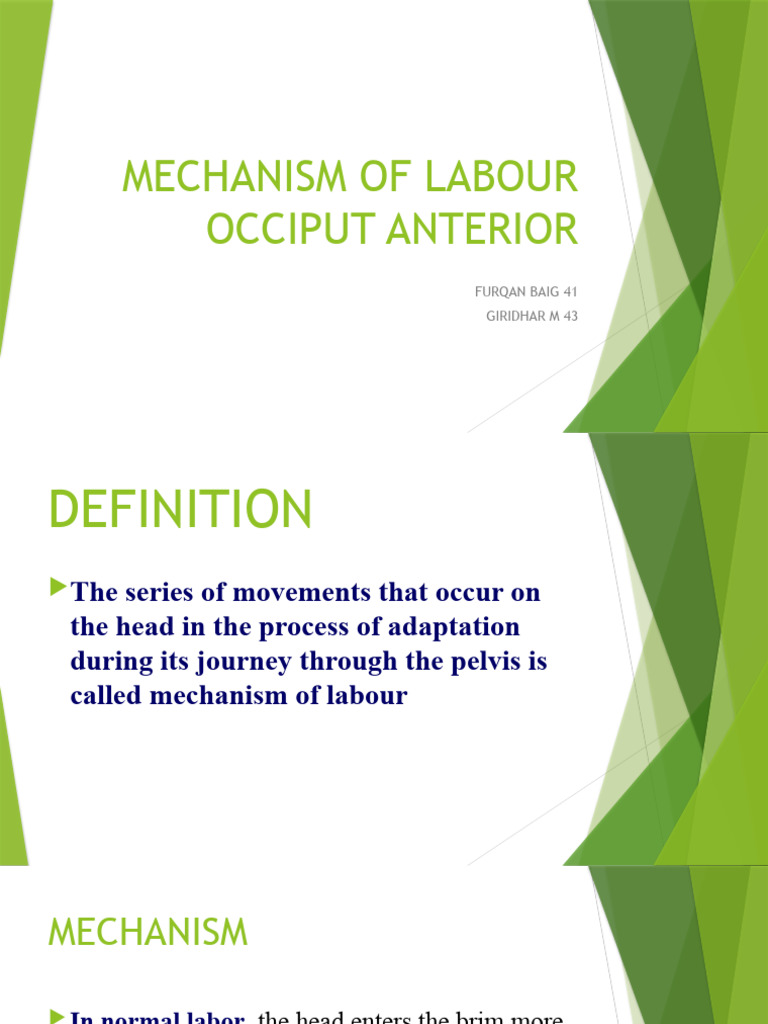 Mechanism of labour download free pdf pelvis anatomy