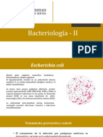 Clase 6 Bacteriología II