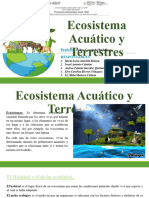 Ecosistema Acuatico Pawer