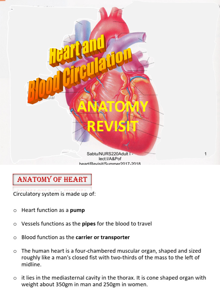 NURS220 - Lect 1-Heart and Circulation | PDF | Heart Valve | Heart