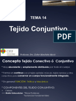 Tema 14 Conjuntivo PDF